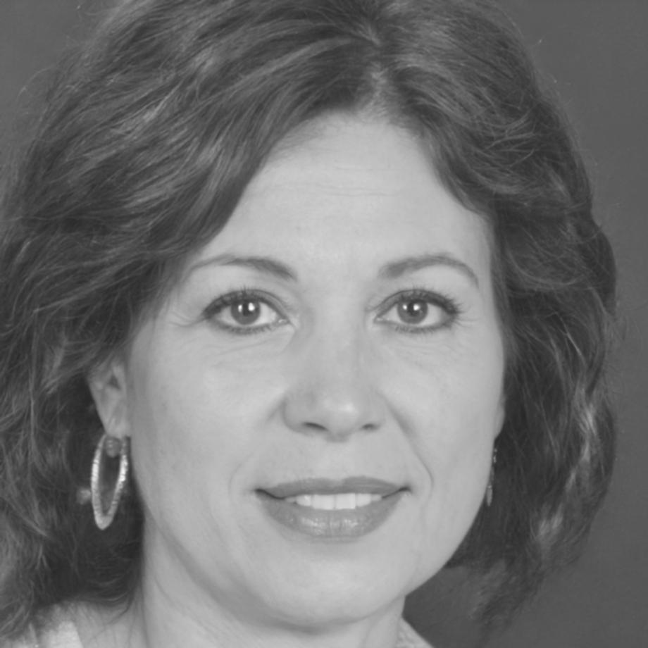 Luminița Drăghici, Consilier Senior Bugete